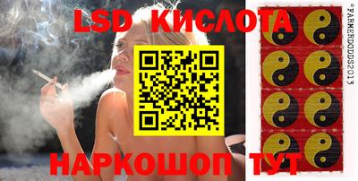 шишки Будённовск