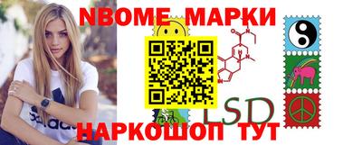 шишки Будённовск