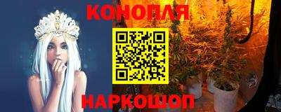 шишки Будённовск