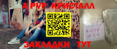шишки Будённовск